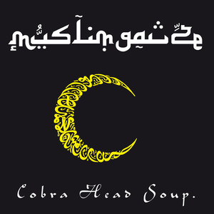 Cobra Head Soup cover
