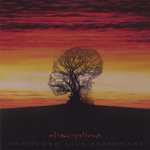 Unfolded Like Staircase cover