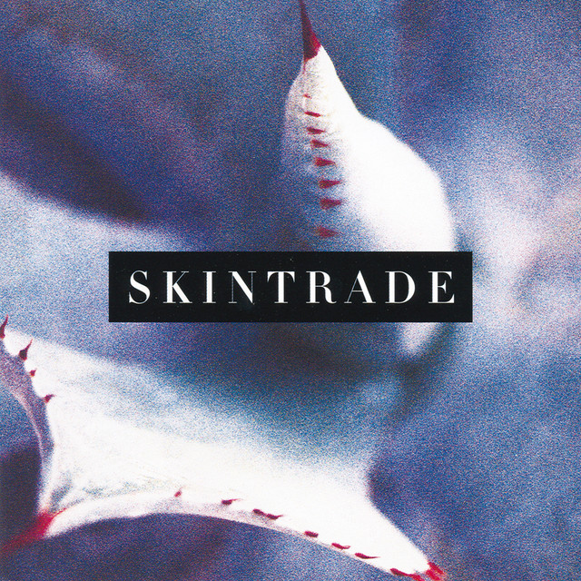 Skintrade cover
