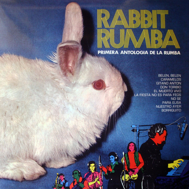 Rabbit Rumba Photo