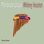 Panpipe Plays Whitney Houston Albumcover