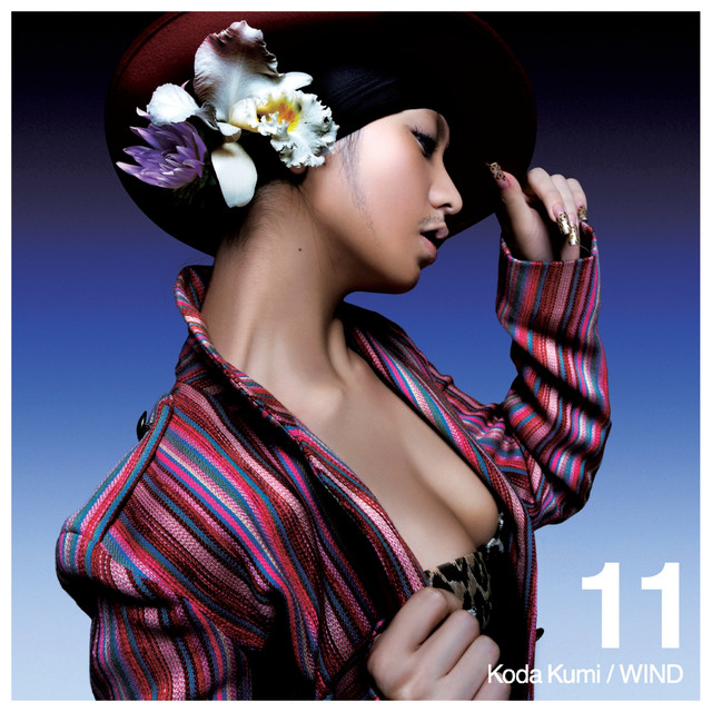 Wind cover