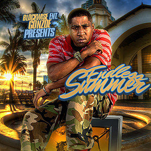 Endless Summer album