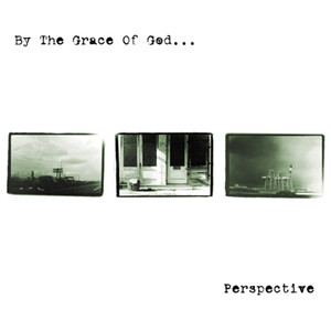Perspective cover