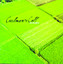 40 Acres Albumcover