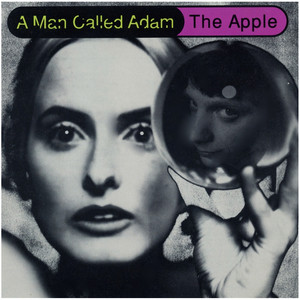 The Apple cover