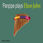 Panpipe Plays Elton John Albumcover
