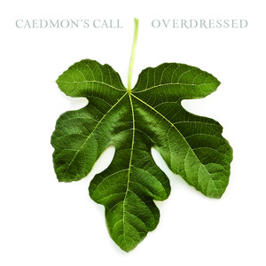 Overdressed cover