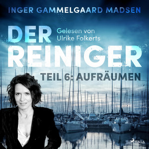 Der Reiniger - Teil 6: Aufräumen (Ungekürzt)