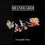 Cercando l'oro cover