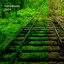 Tracks cover