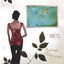 Scattered Among the Archipelago Albumcover