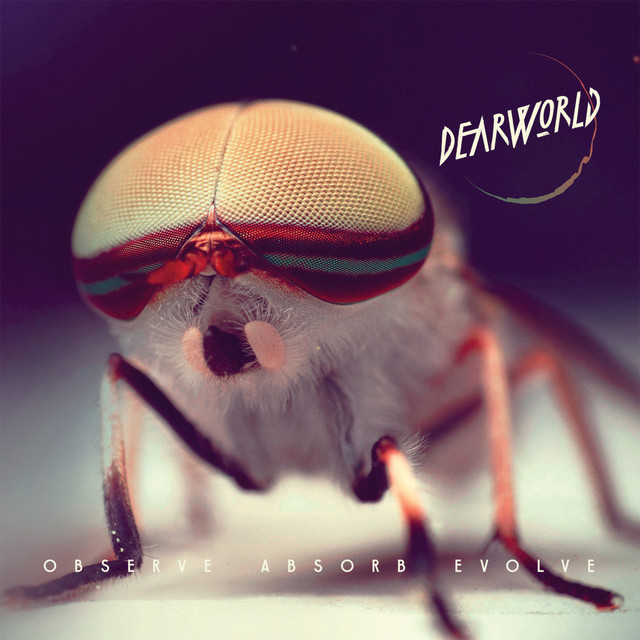 Dearworld Photo
