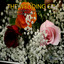 The Wedding CD Albumcover