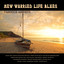 New Worried Life Blues cover