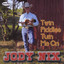 Twin Fiddles Turn Me On Albumcover