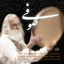 Soufi (Tar & Setar Improvising) (Live) Albumcover
