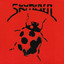 Skyrider Albumcover