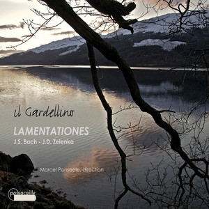Lamentationes album