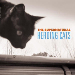 Herding Cats album