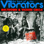 Meltdown / Vicious Circle cover