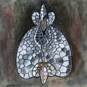 Phantasmata Domestica cover