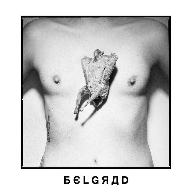 Belgrad Photo