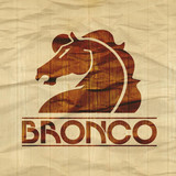Bronco profile