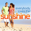 Everybody Loves The Sunshine cover