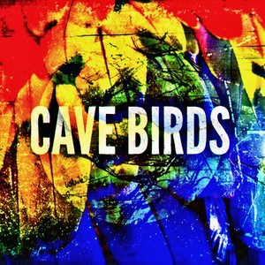 Cave Birds