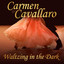 Waltzing in the Dark cover