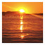My Favourite Place (Before Sunset) cover