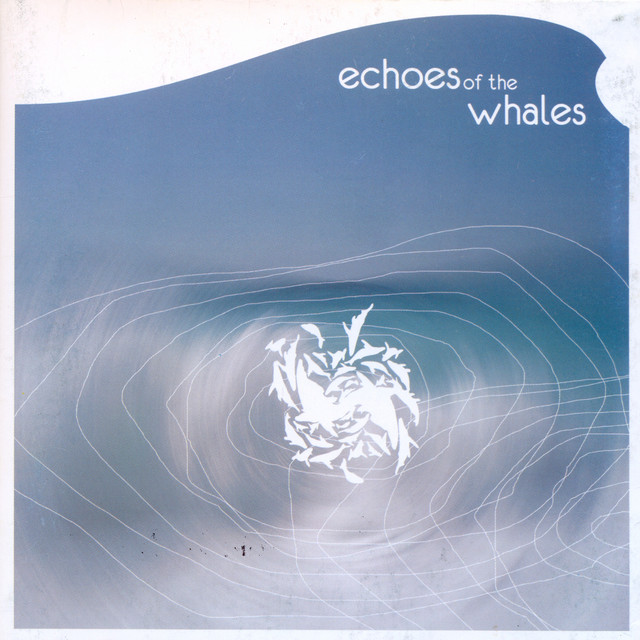 Echoes of the Whales Photo