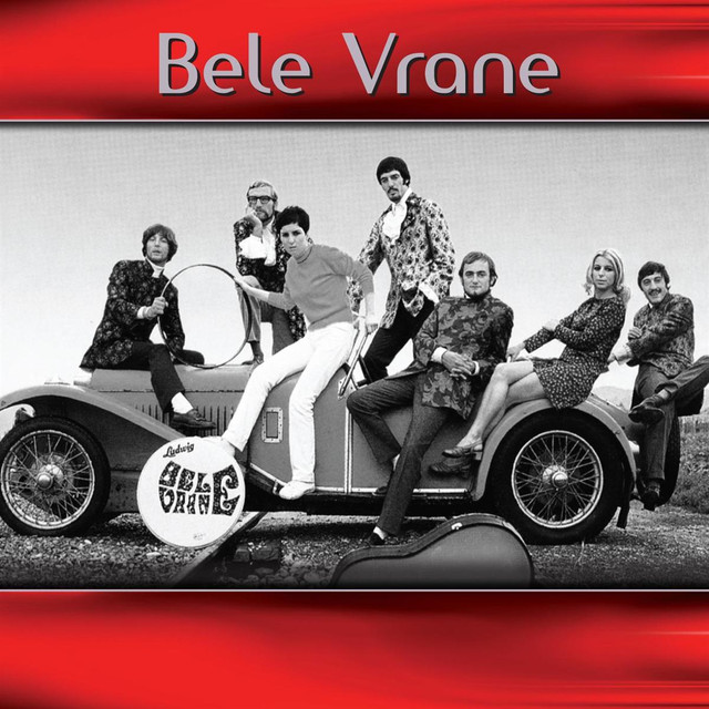 Bele vrane Photo