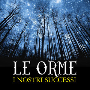 I nostri successi (I nostri successi) cover