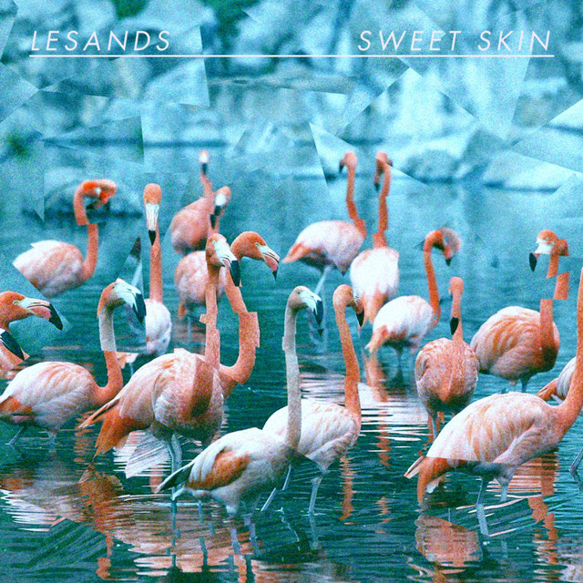 Lesands Photo