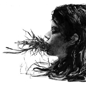 Entanglements cover