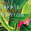Spring in Bangkok cover