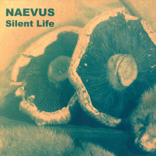 Silent Life cover