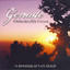 Genade Onbeskryflik Groot Albumcover