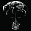Greying cover