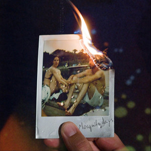 Mosquito Days cover