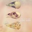 Hurry, Harry Albumcover