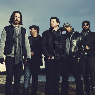 Manic Bloom Photo