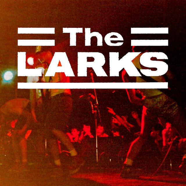 The Larks Live In Coventry cover