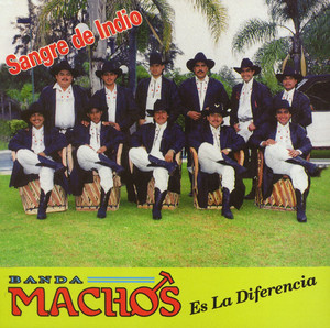 Sangre de Indio album