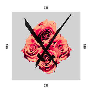 Nina album