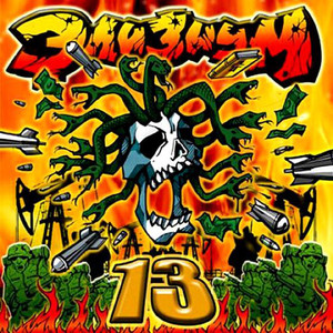 13 cover