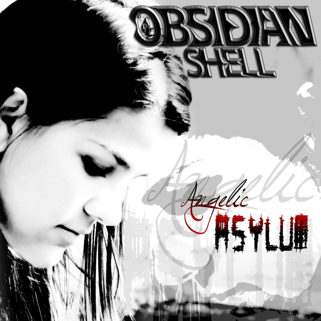 Obsidian Shell Photo