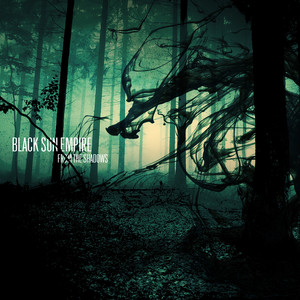 From the Shadows cover